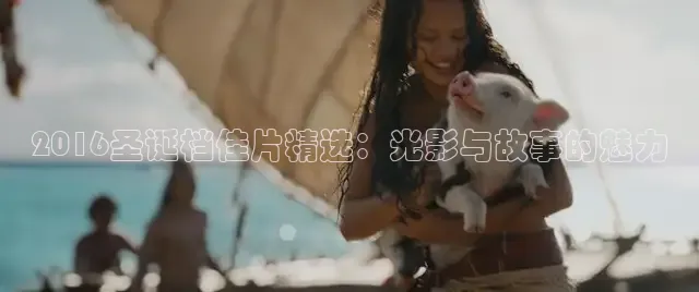 达达兔影视